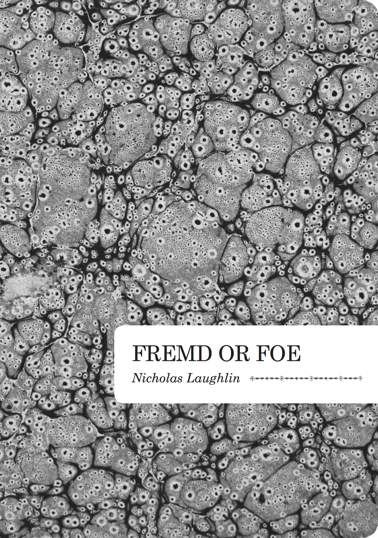 frend or foe cover